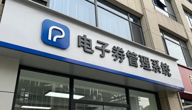 电子券管理系统在信息咨询领域的实际应用与挑战